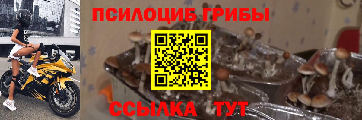 Псилоцибиновые грибы ЛСД  Вход с VPN  Казань 