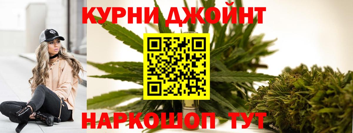 Псилоцибиновые грибы Казань
